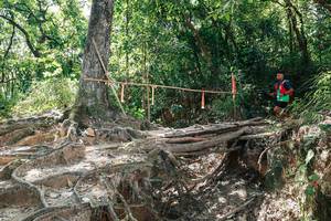 BIB: 
                            <button type="button" onclick="openModal(27800760)" class="btn btn-primary btn-sm float-right btn-popup" data-toggle="modal" data-target=".modal-high-quality">
                        <i class="fas fa-shopping-cart"></i> Add to Cart
                    </button>
                                            <button type="button" onclick="isThisMe(27800760, true)" class="btn btn-success btn-sm float-right btn-popup btn-isme hidden" data-toggle="tooltip" data-placement="bottom" title="นี่คือรูปของคุณใช่ไหม คลิกที่นี่เพื่อเอาเข้าอัลบั้ม">
                        <i class="fas fa-plus"></i> Add to album
                    </button>
                    <button type="button" onclick="isThisMe(27800760, false)" class="btn btn-warning btn-sm float-right btn-popup btn-isnotme hidden">
                        <i class="fas fa-ban"></i> Remove from album
                    </button>